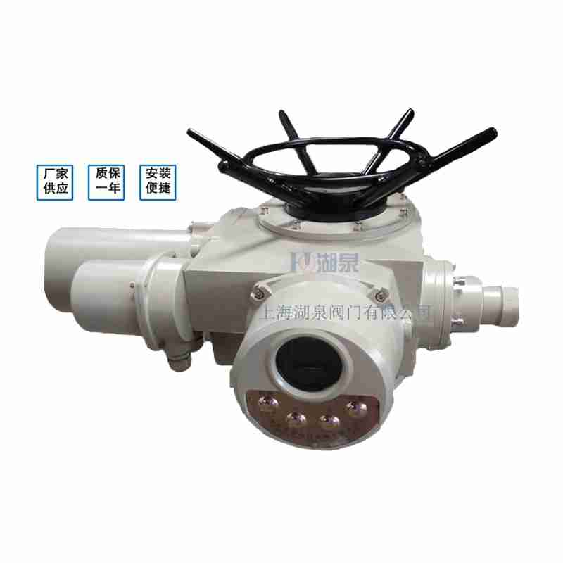 閥門電動裝置（dzw05,10,20，30,45,60，90,12