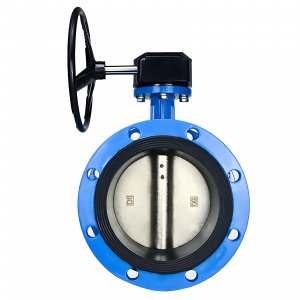 法蘭式蝸輪蝸桿蝶閥DN40，1.6Mpa（橡膠密封