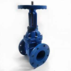 手動(dòng)閘閥Z41T-16 DN50/DN65廠家直銷，上海發(fā)