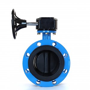 法蘭式蝸輪蝸桿蝶閥DN125，1.6Mpa橡膠密封