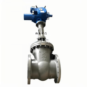 Z941W-25P DN150法蘭不銹鋼電動(dòng)閘閥廠家