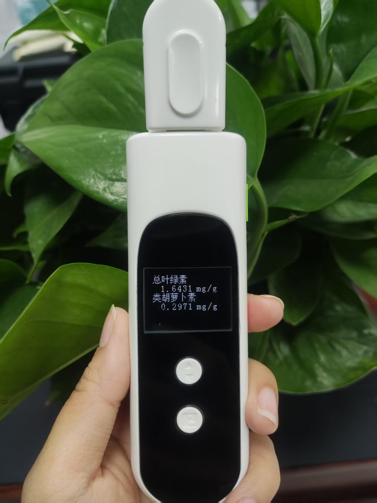 植物光合色素測定儀