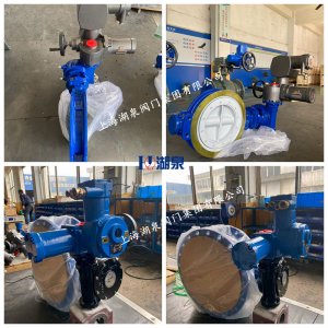 礦用電動蝶閥WSD943X-16P DN500含執(zhí)行器